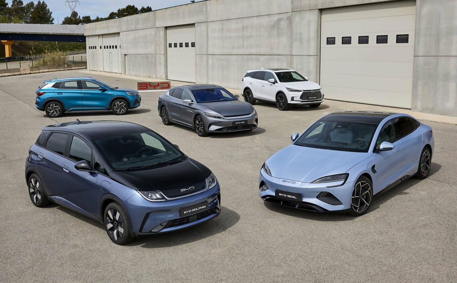 Chinese electric cars are everywhere, but only 2 manufacturers are making profit!