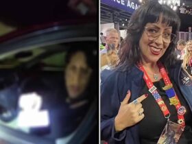 "My Tesla is running low on battery": excuse of a senator caught speeding